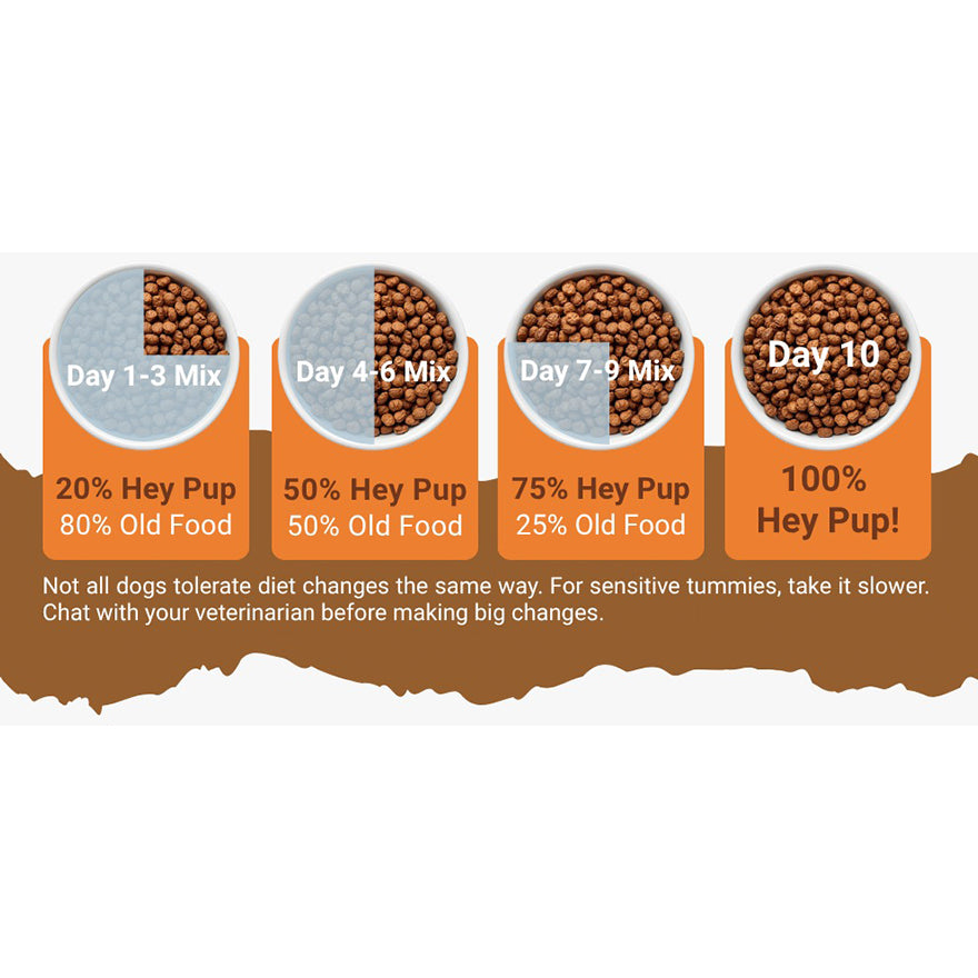 HeyPup! feeding guidelines and a 10 day transition guide to switch your dog from standard kibble to a freeze-dried raw diet.